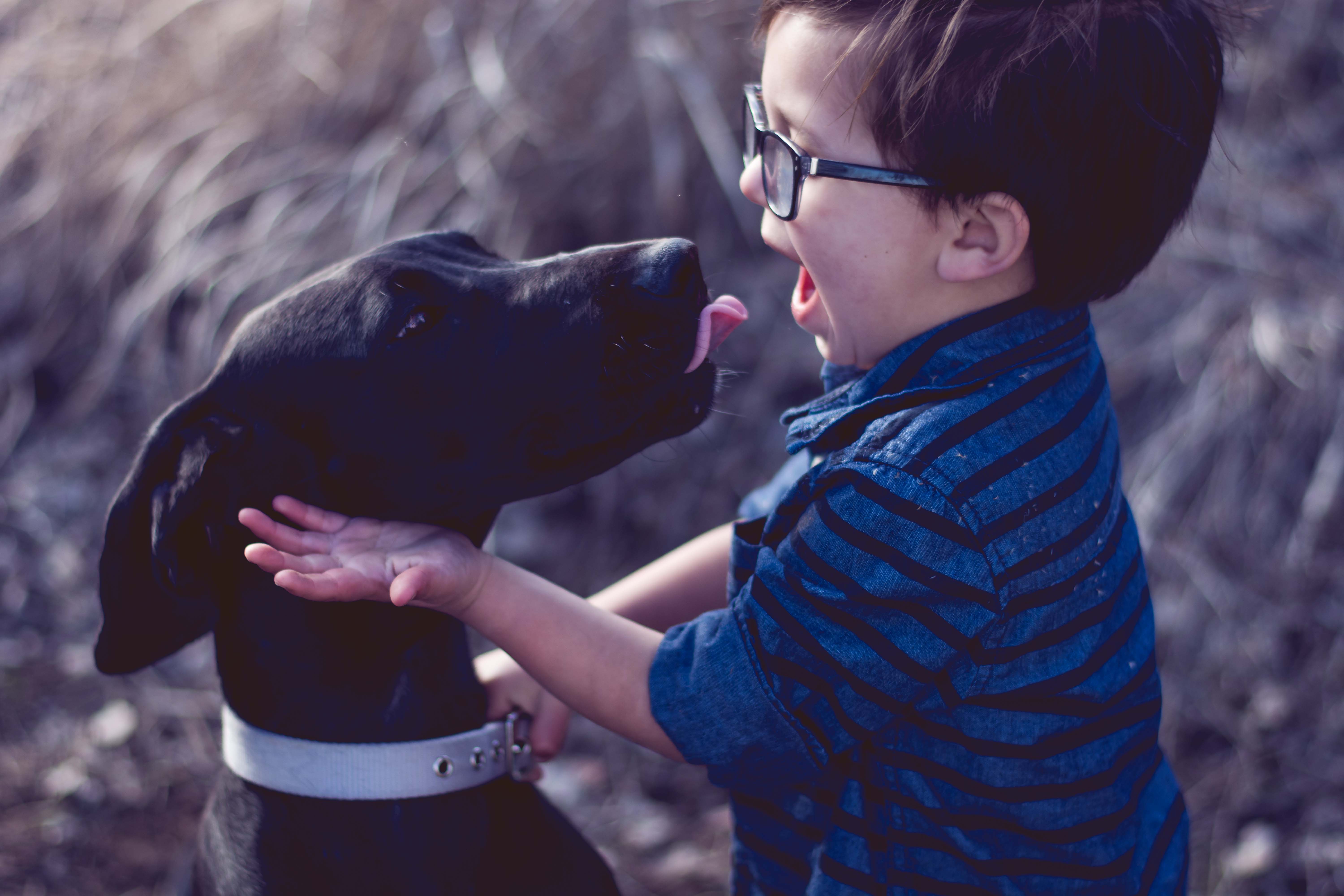 Crue Pocatello Idaho Children’s Photographer » Trina Reed Photography